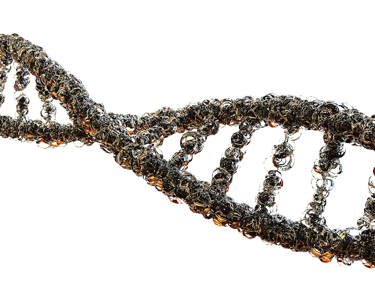 dna strand