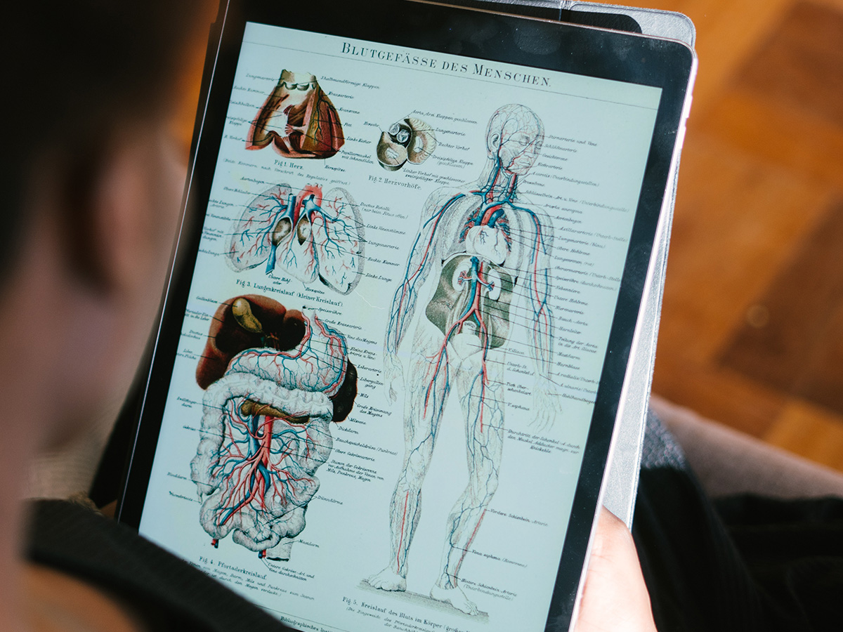 The Human Body - A Perfect Machine