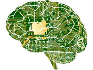 photo of brain
