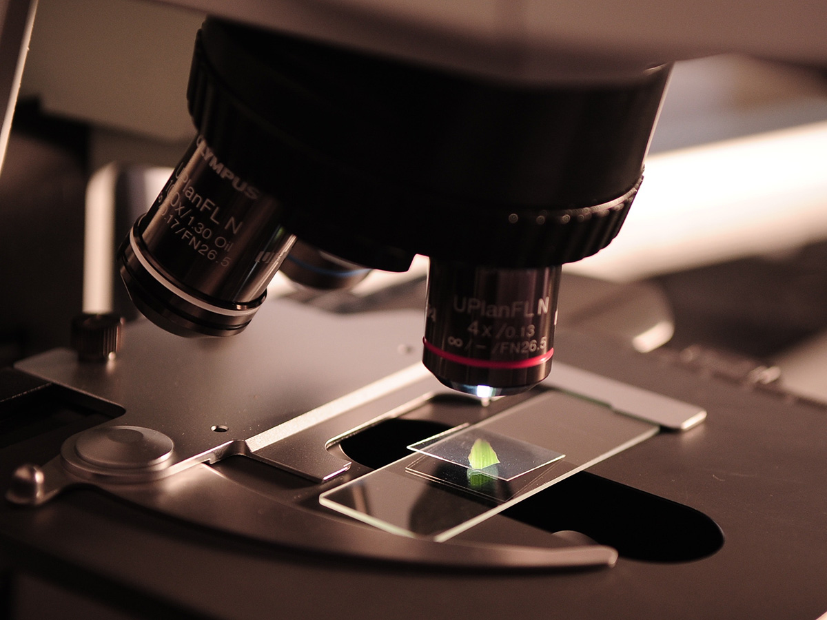 Close-up of Microscope