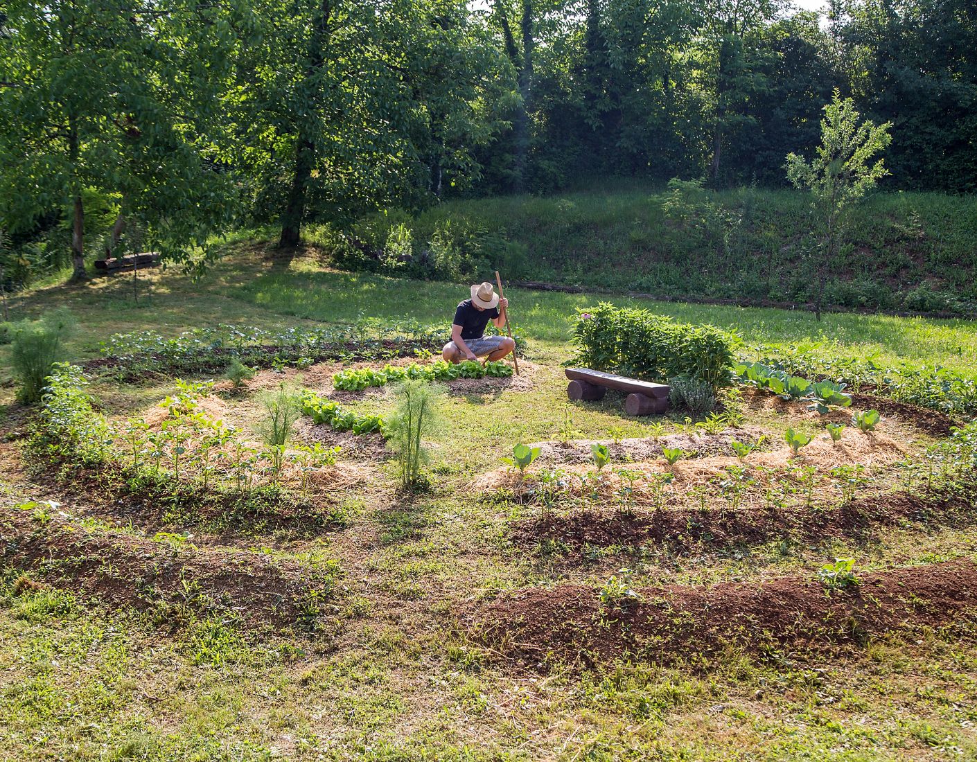 Permaculture, Fruits, and Mushroom Kits for Long Island
